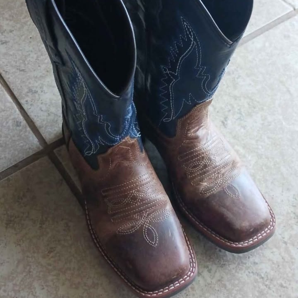 Brown and Blue Cowboy Boots